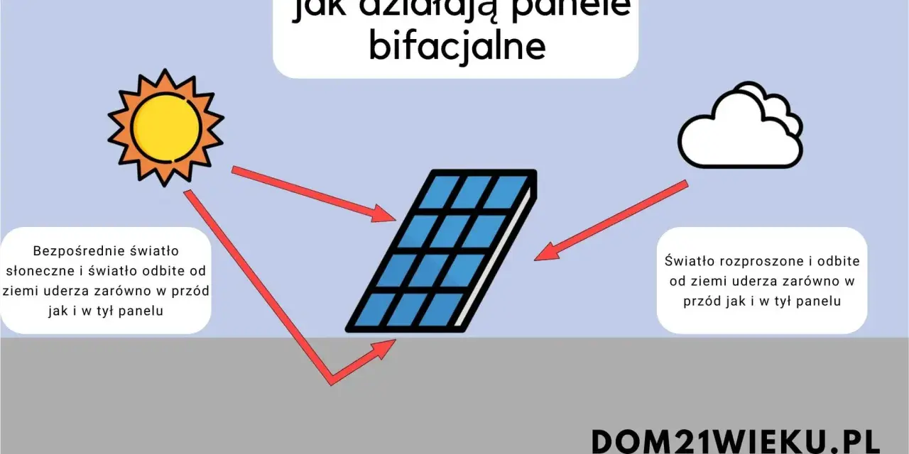Ilustracja pokazuje, jak panele bifacialne wykorzystują światło słoneczne i odbite od ziemi, uderzające w przód i tył panelu.