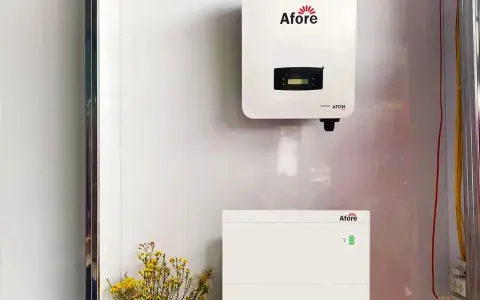 Falownik solis 5kw i jego bateria magazynująca energię, zamontowane na białej ścianie. Obok bukiet żółtych kwiatów.
