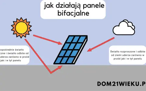 Ilustracja pokazuje, jak panele bifacialne wykorzystują światło słoneczne i odbite od ziemi, uderzające w przód i tył panelu.