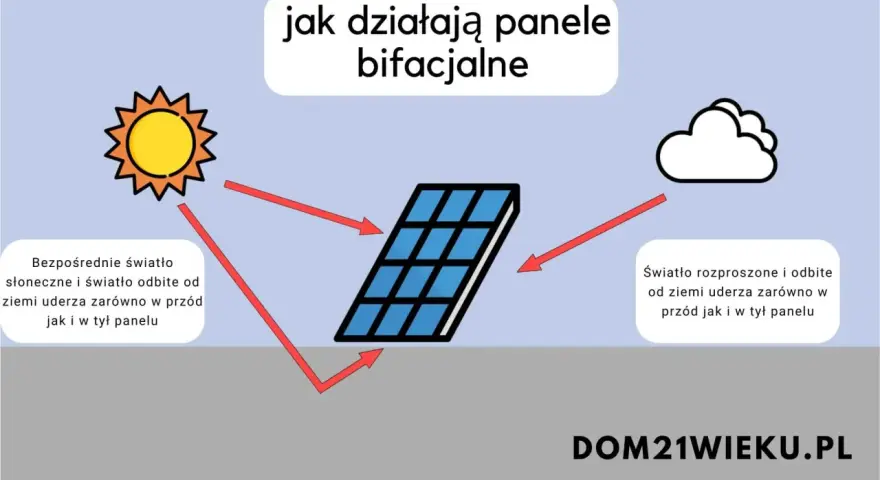Ilustracja pokazuje, jak panele bifacialne wykorzystują światło słoneczne i odbite od ziemi, uderzające w przód i tył panelu.